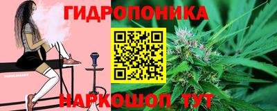 индика Моздок