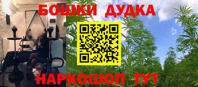 Альфа ПВП Можайск