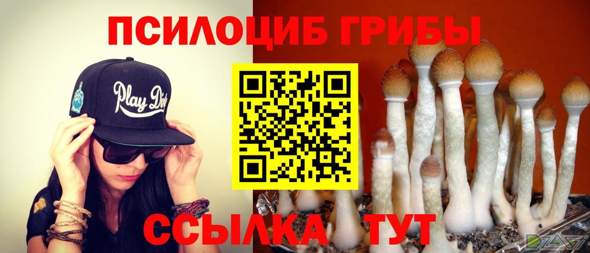 Узловая  Псилоцибиновые грибы MAGIC MUSHROOMS  Псилоцибиновые грибы прущие грибы  Вход с VPN 