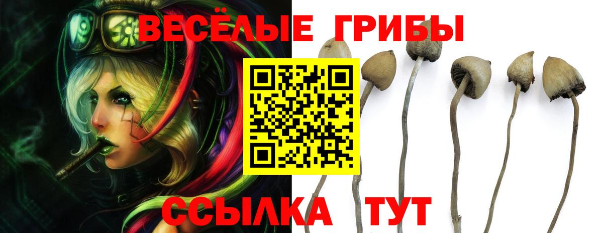 Галлюциногенные грибы мицелий Узловая